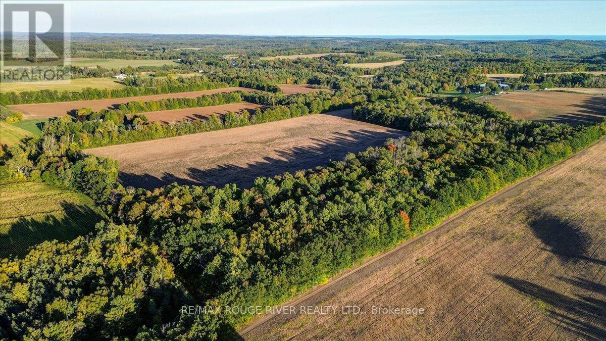 190 Mcbride Road, Alnwick/Haldimand, ON