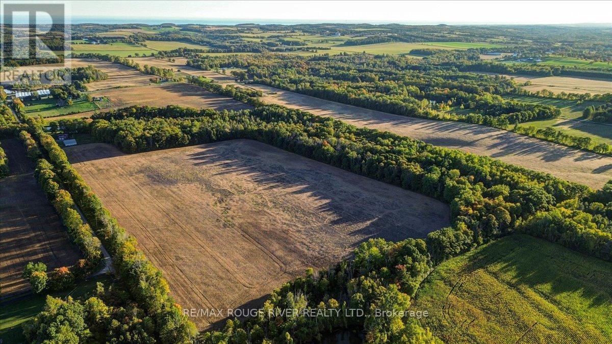 190 Mcbride Road, Alnwick/Haldimand, ON