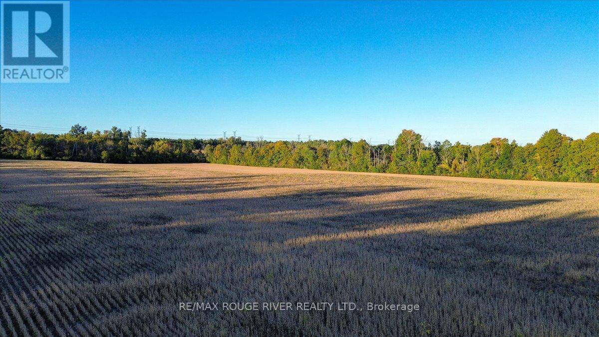 190 Mcbride Road, Alnwick/Haldimand, ON