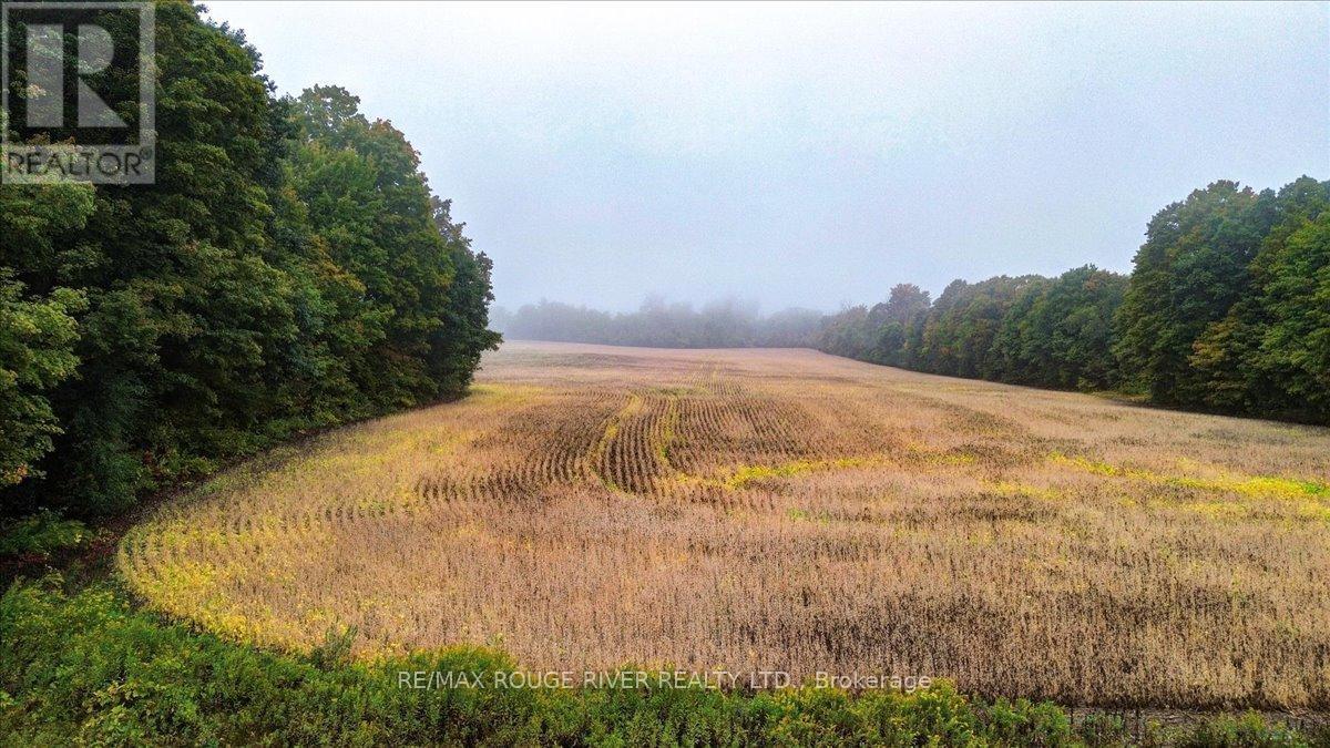 190 Mcbride Road, Alnwick/Haldimand, ON