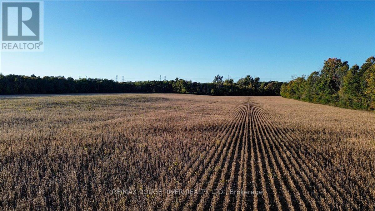 190 Mcbride Road, Alnwick/Haldimand, ON