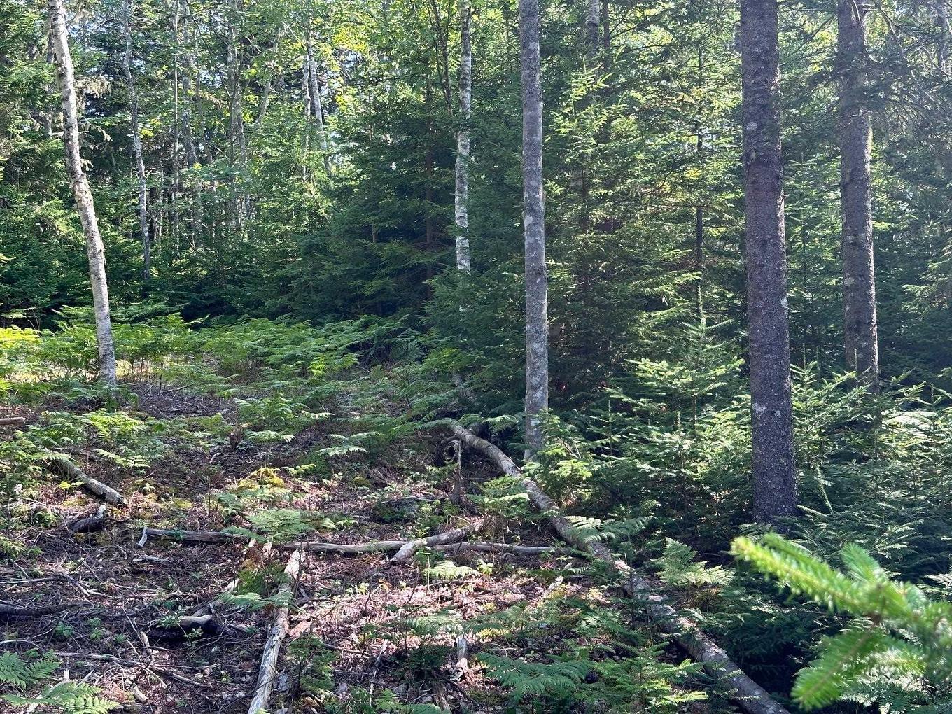 Lot 9 Fire Cove Road, Feltzen South, NS