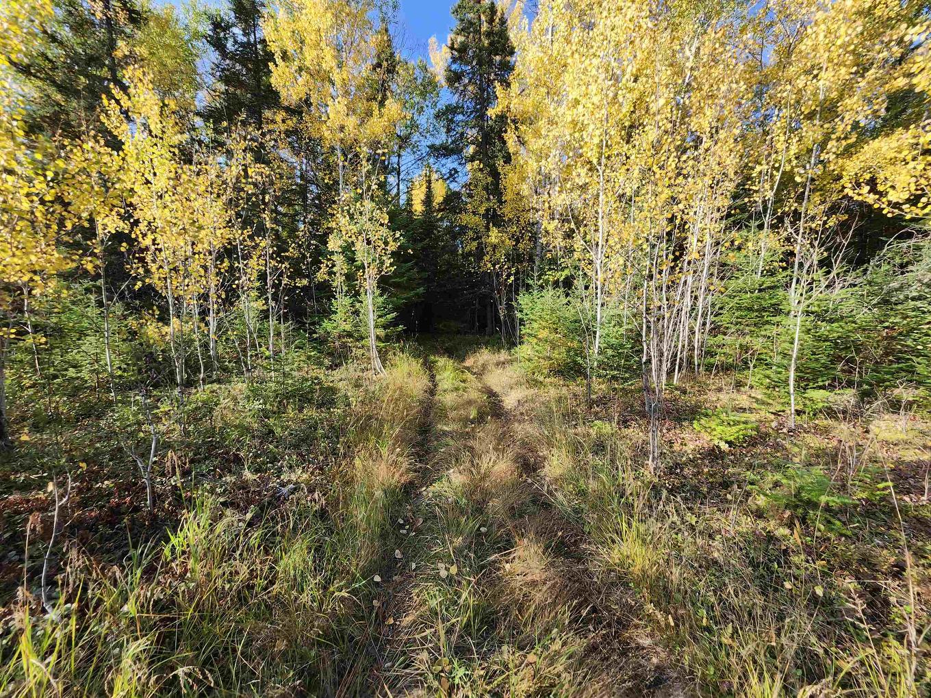 18 Johnson Road, Kenora, ON