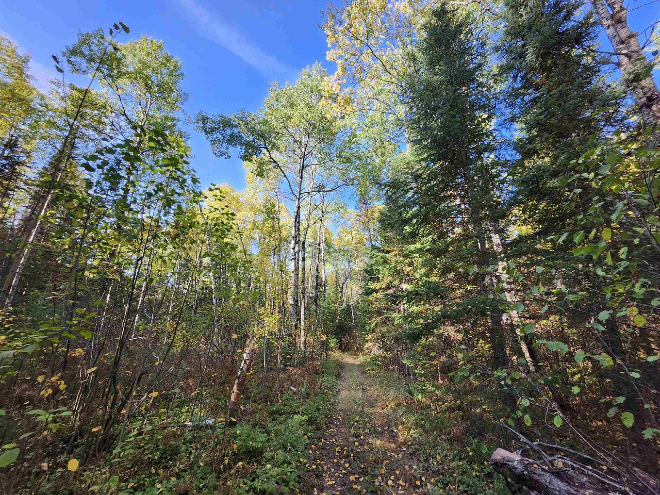 18 Johnson Road, Kenora, ON