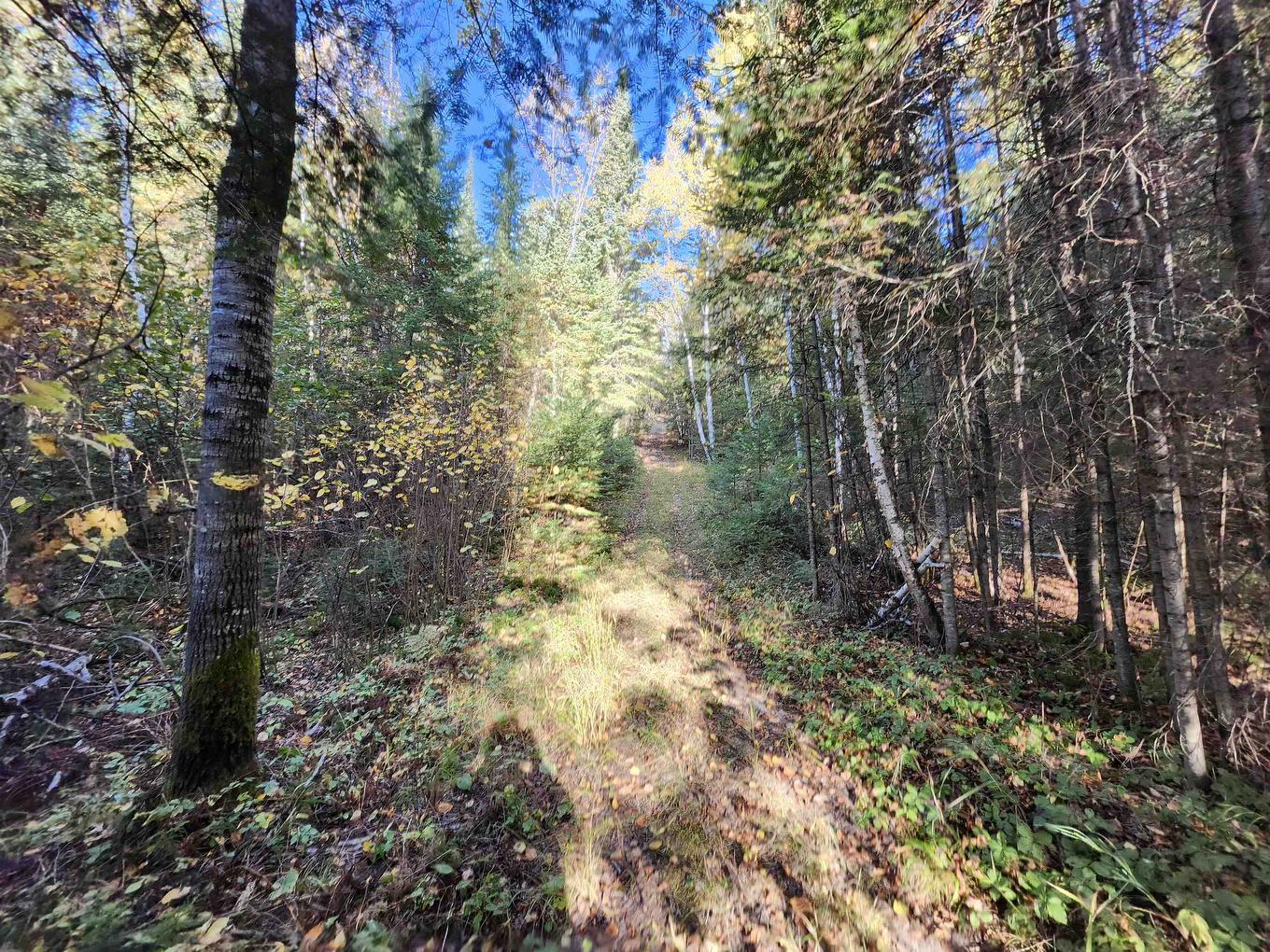 18 Johnson Road, Kenora, ON