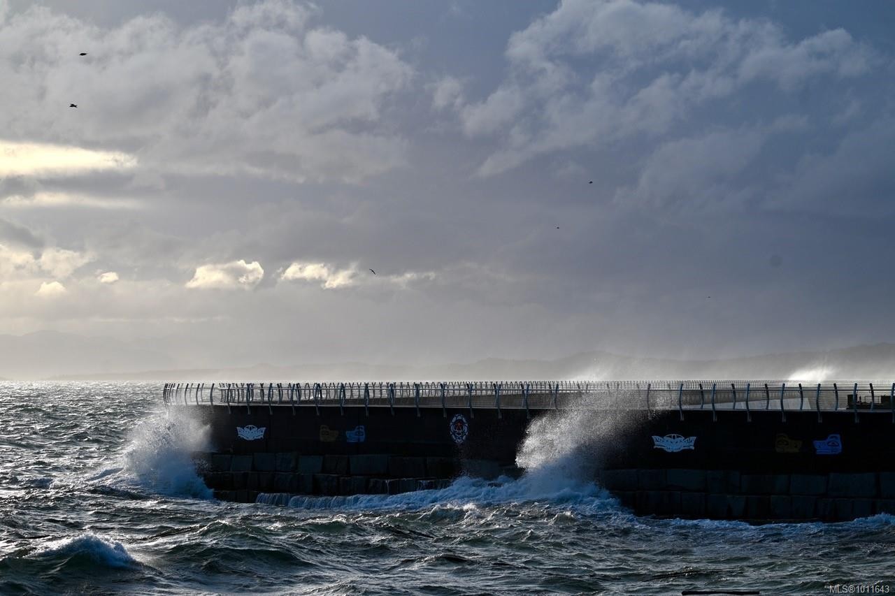 222 Dallas Rd, Victoria, BC