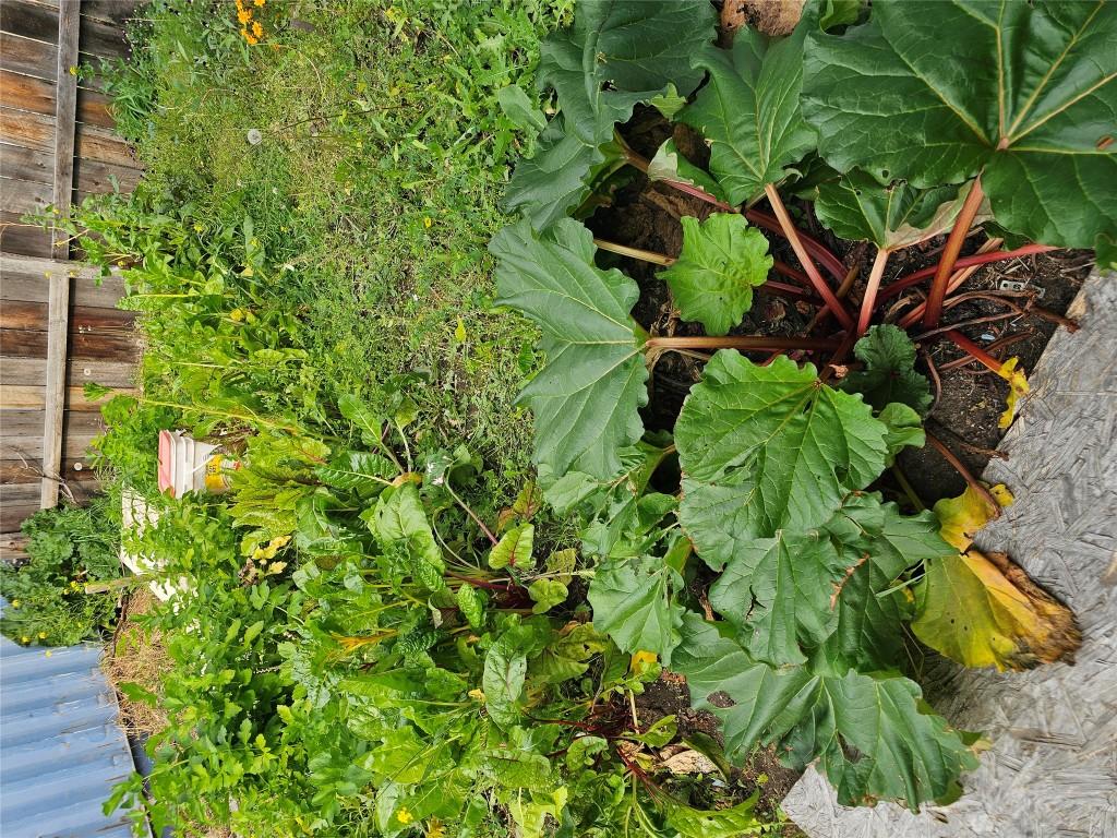 5851 33 Highway, Beaverdell, BC - Outdoor