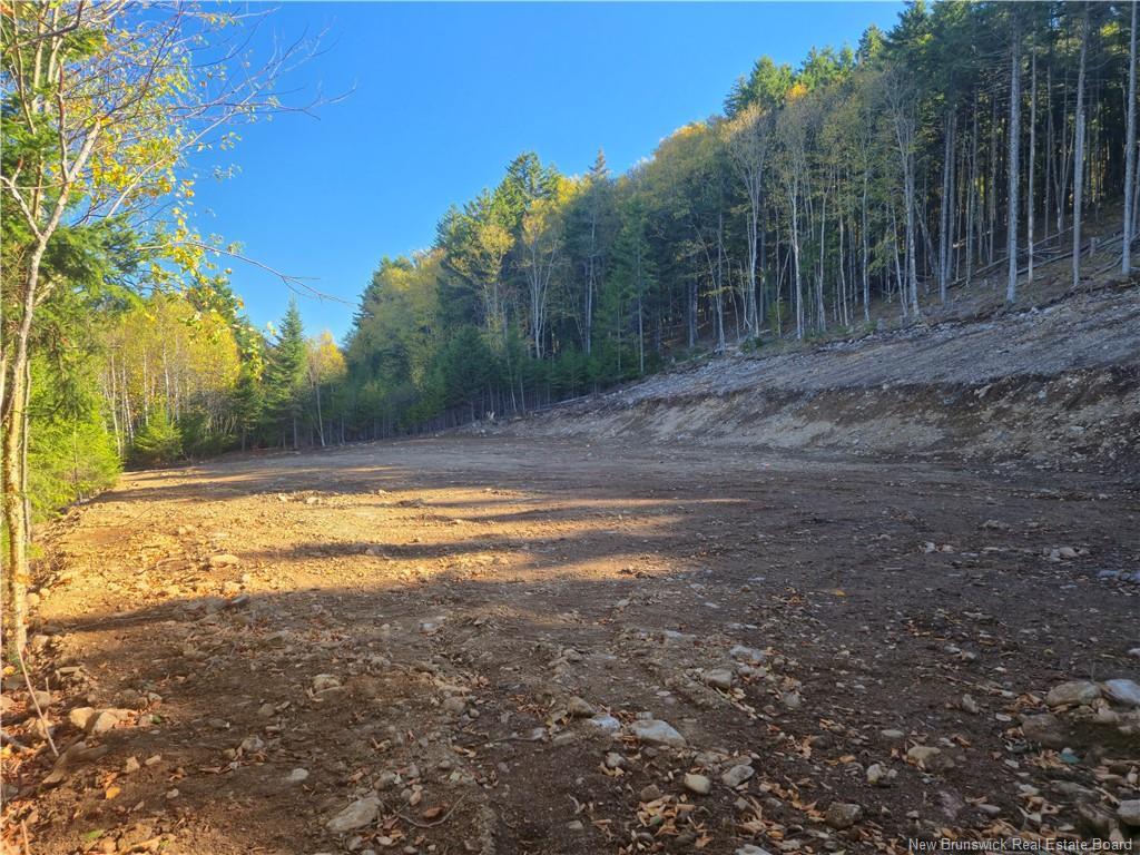 37 Forest Dr, Alma, NB