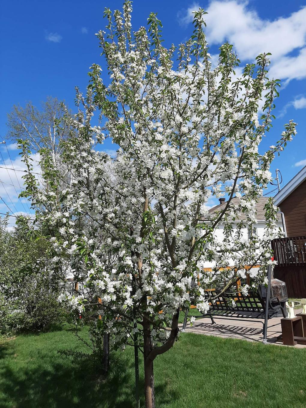 Exterior - 289 Rue Miljours, Val-D'Or, QC - Outdoor