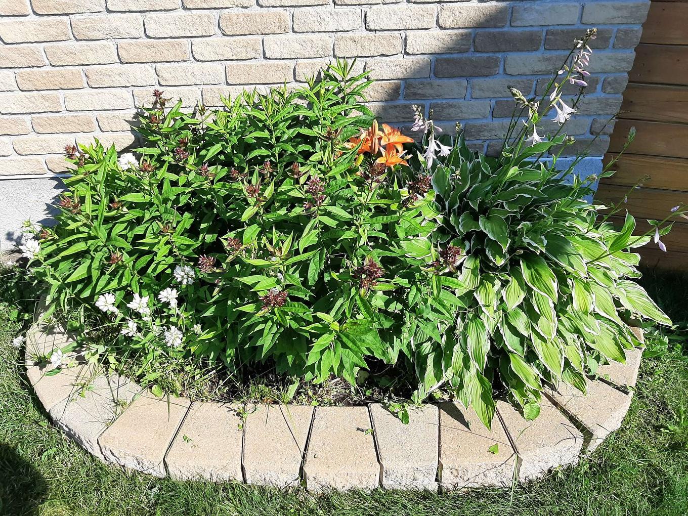 Exterior - 289 Rue Miljours, Val-D'Or, QC - Outdoor