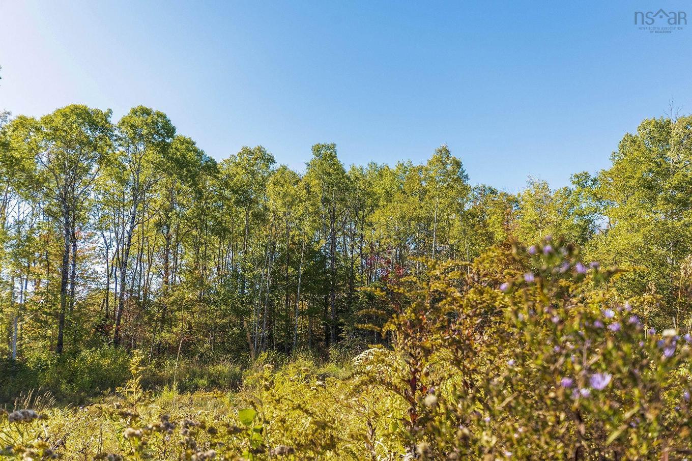 439 Victoria Road, Spa Springs, NS