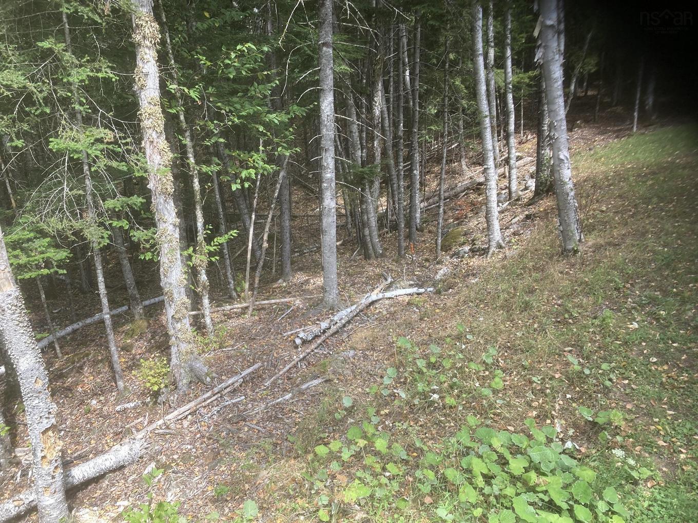 Lot 69 Piper Lane, Vaughan, NS