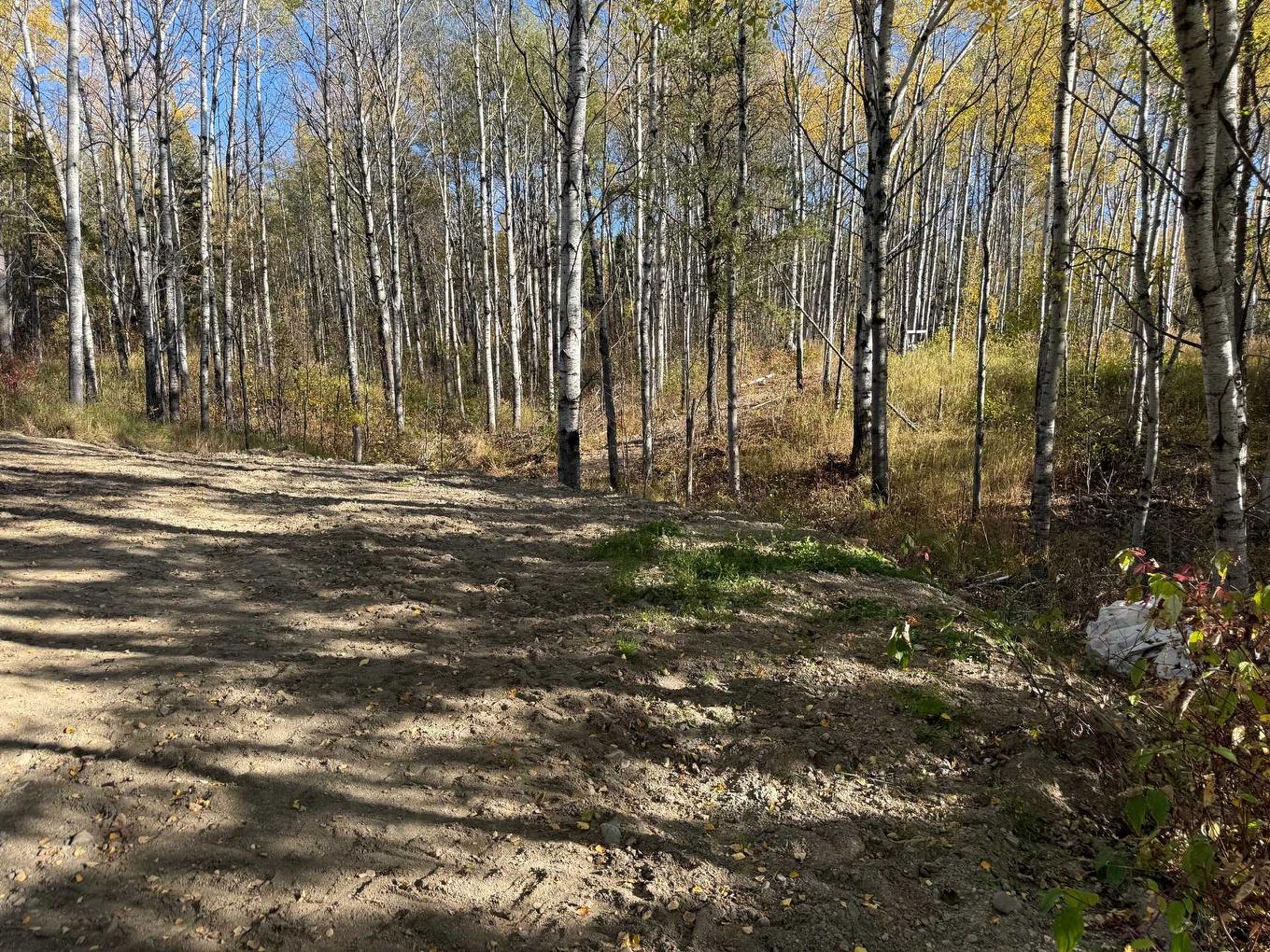 Backyard - 686 Rue Marie-Rollet, Rouyn-Noranda, QC - Outdoor With View