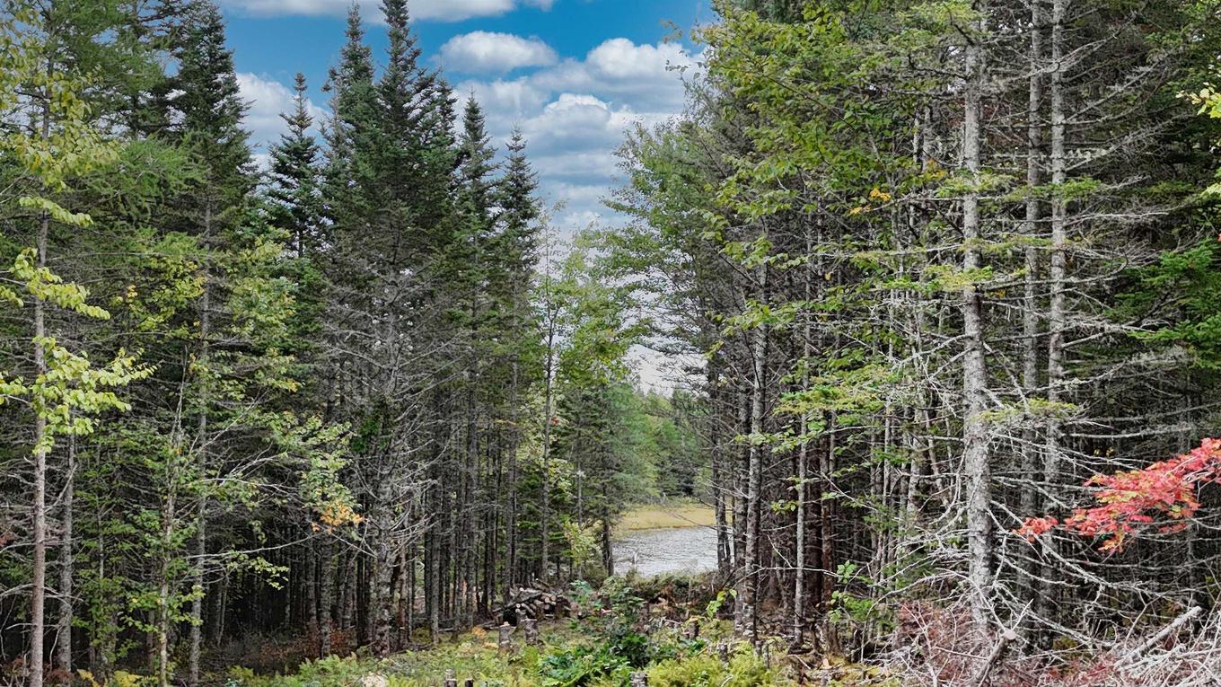 165 Holgers Lane, Cleveland, NS