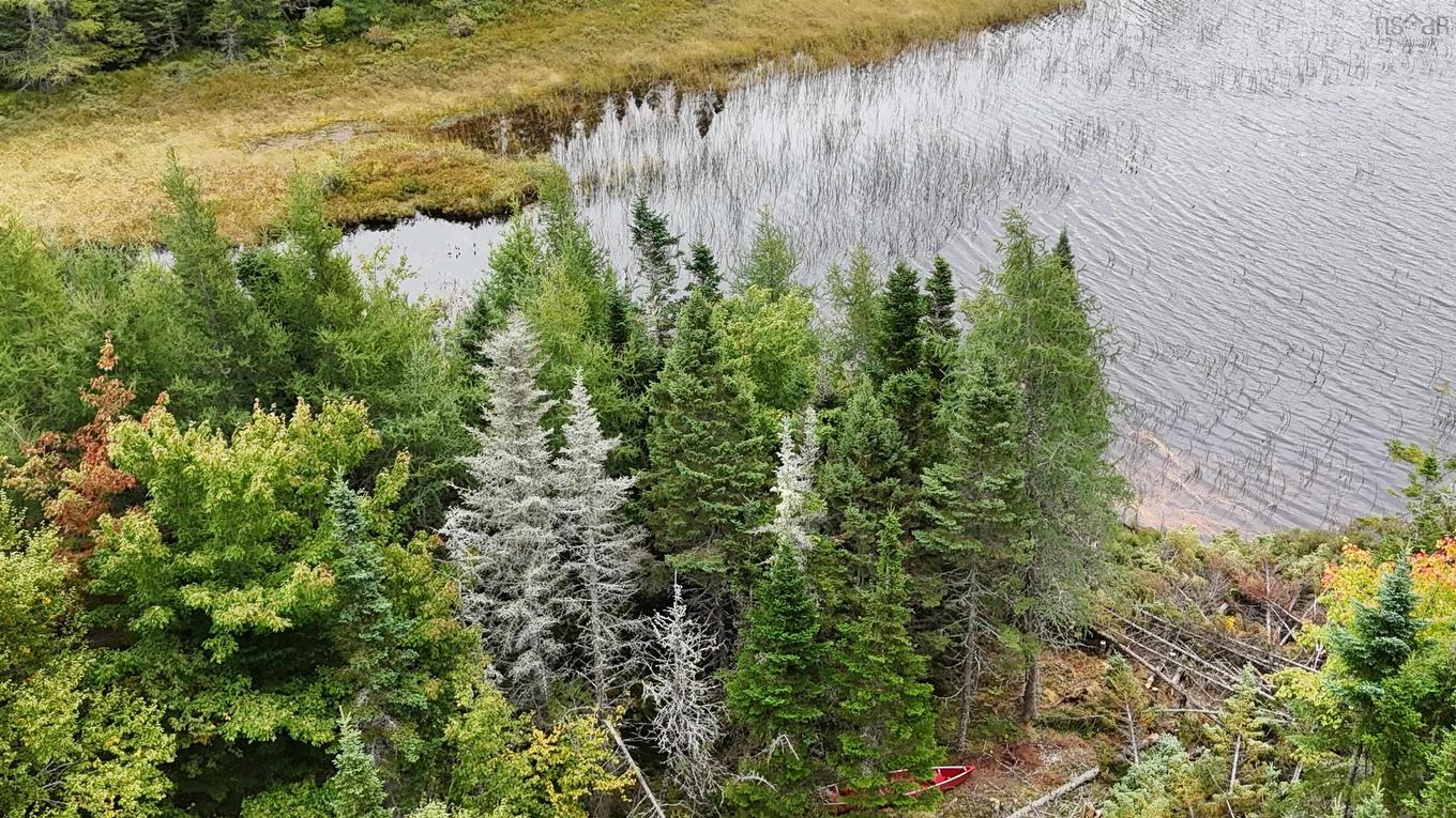 165 Holgers Lane, Cleveland, NS