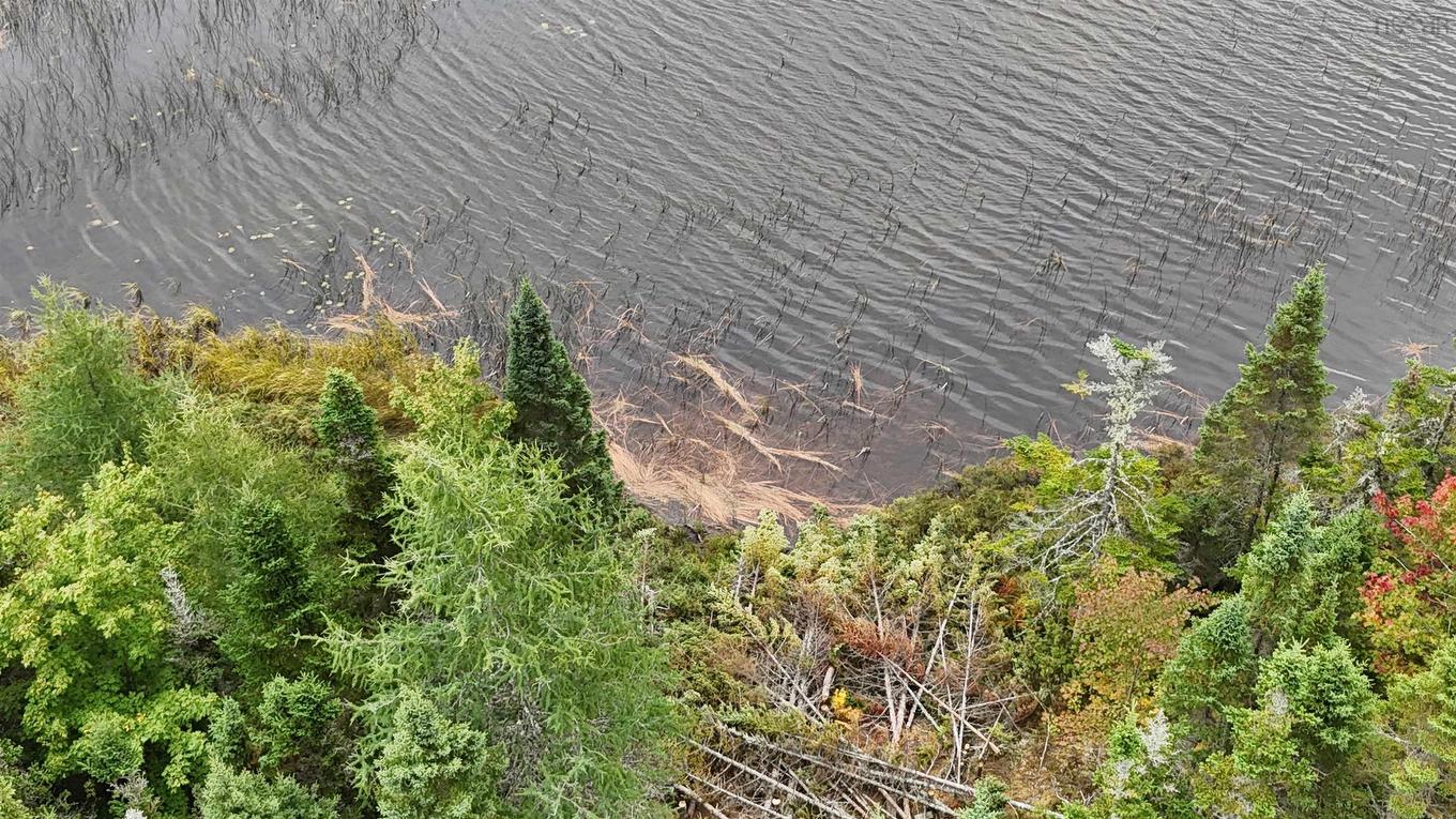 165 Holgers Lane, Cleveland, NS