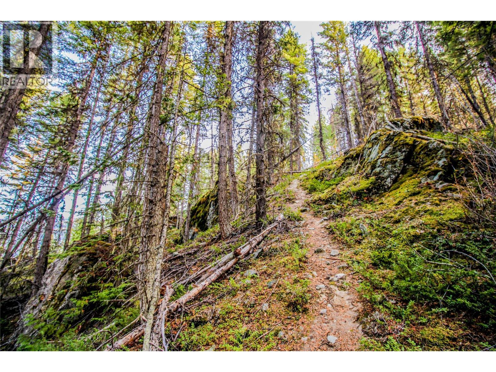 5319 East Barriere Lake Fs Road, Barriere, BC - Outdoor