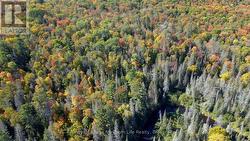 PT LT 5 CON 14 SOUTH HORN LAKE ROAD Armour, ON P0A 1C0