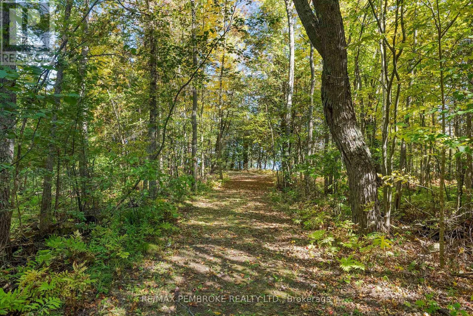 204B Hawkins Drive, Killaloe, Hagarty And Richards, ON - Outdoor