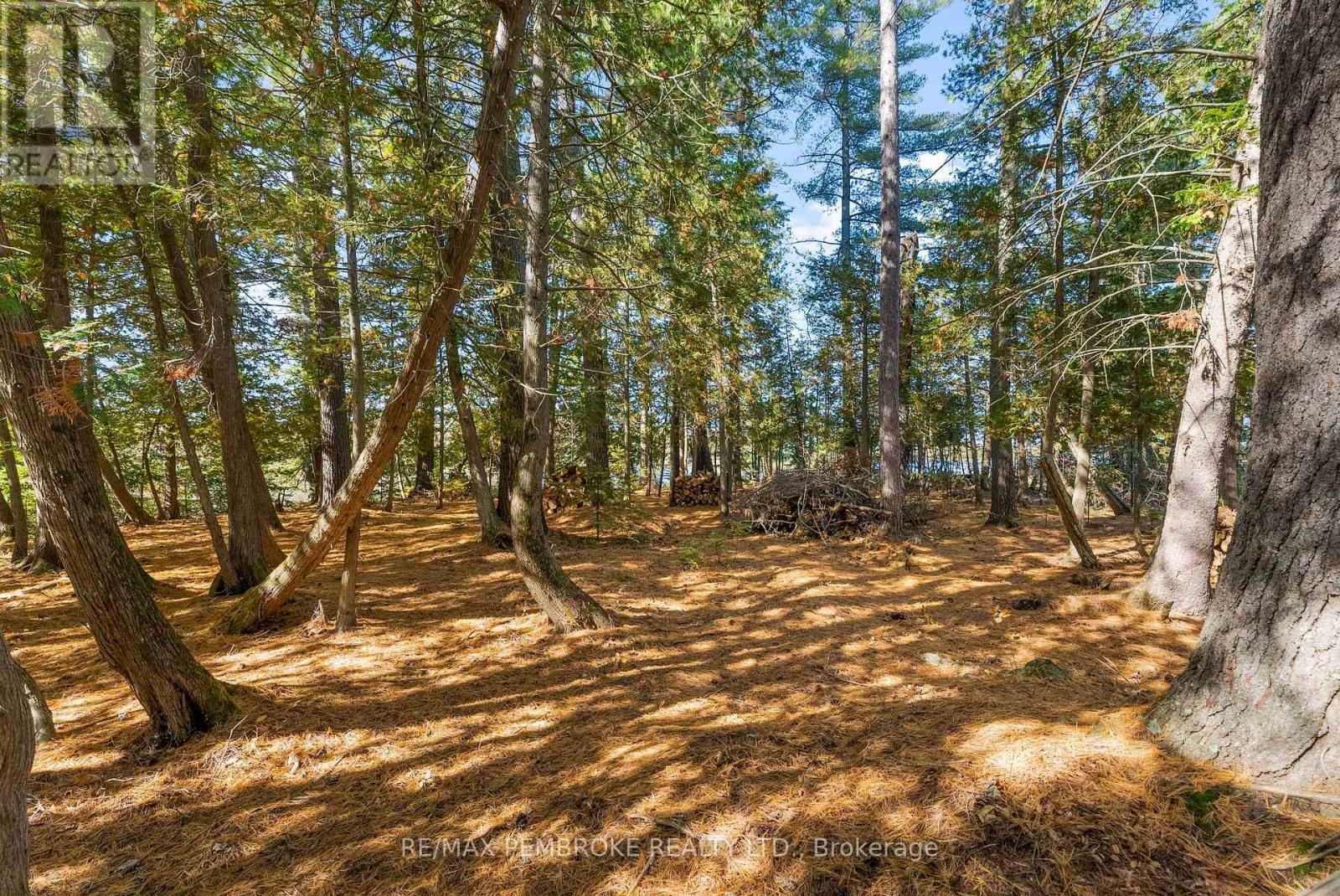 204B Hawkins Drive, Killaloe, Hagarty And Richards, ON - Outdoor With View