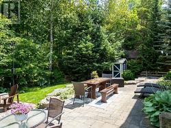 Walls Of Trees - Full Privacy -