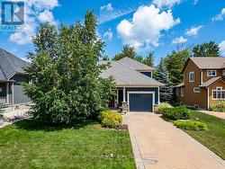 Professional Landscaping, Mature Trees -