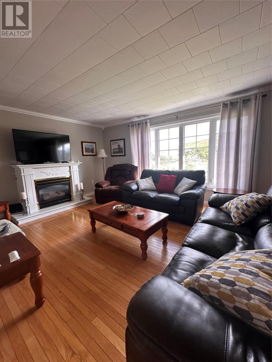 21 Drakes Road, Lawn, NL - Indoor Photo Showing Living Room With Fireplace