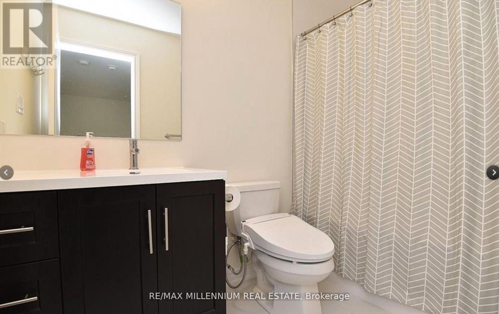 29 Hibiscus Lane, Hamilton, ON - Indoor Photo Showing Bathroom