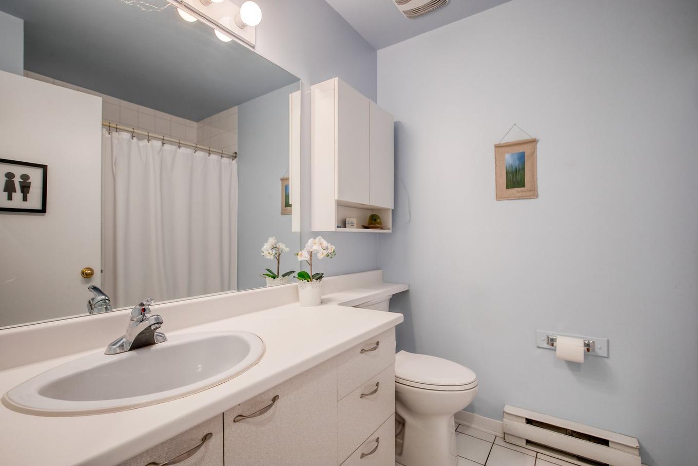 Dwelling - 427 - 431 Rue François-V.-Malhiot, Boucherville, QC - Indoor Photo Showing Bathroom