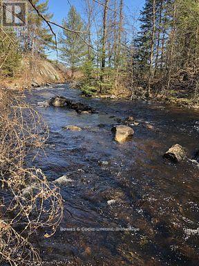 2449 The Ridge Road, Marmora And Lake (Lake Ward), ON - Outdoor With Body Of Water With View