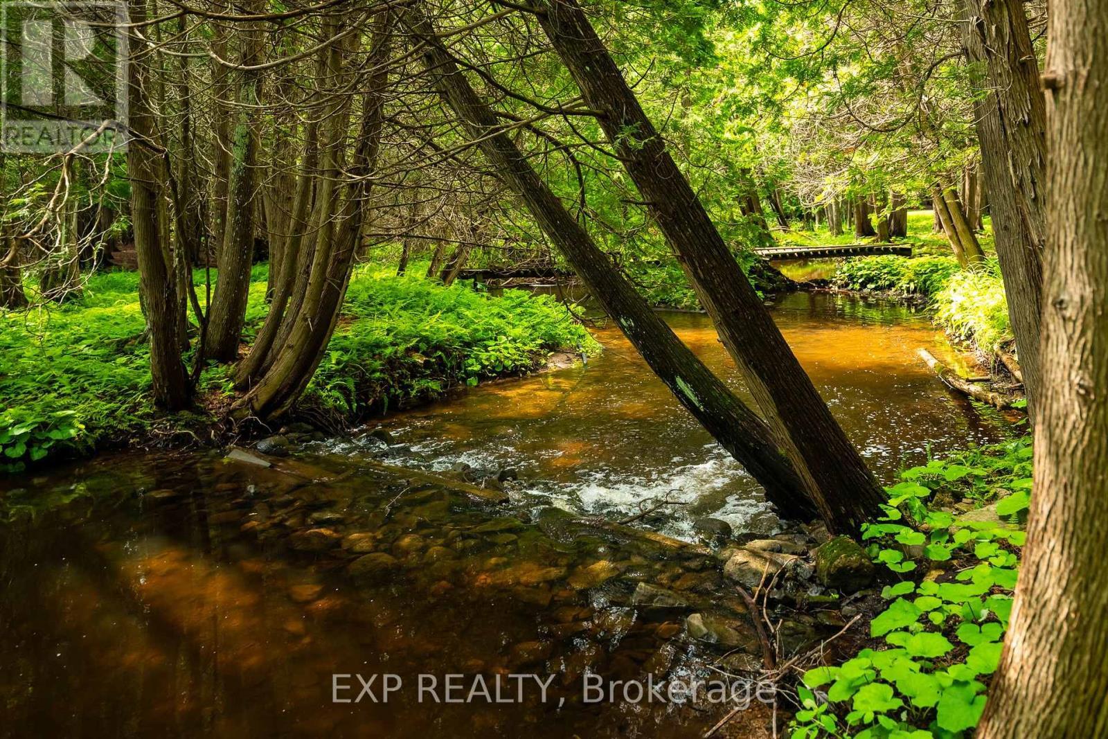 506097 Highway 89, Mulmur, ON - Outdoor