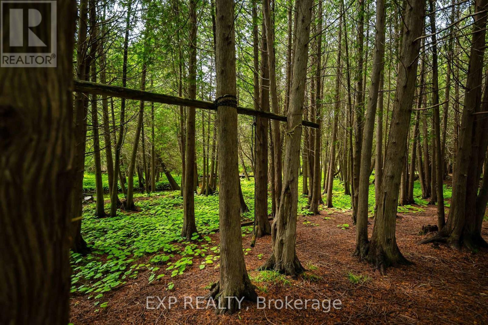 506097 Highway 89, Mulmur, ON - Outdoor