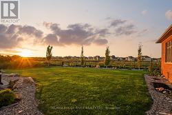 Mature trees - private backyard -