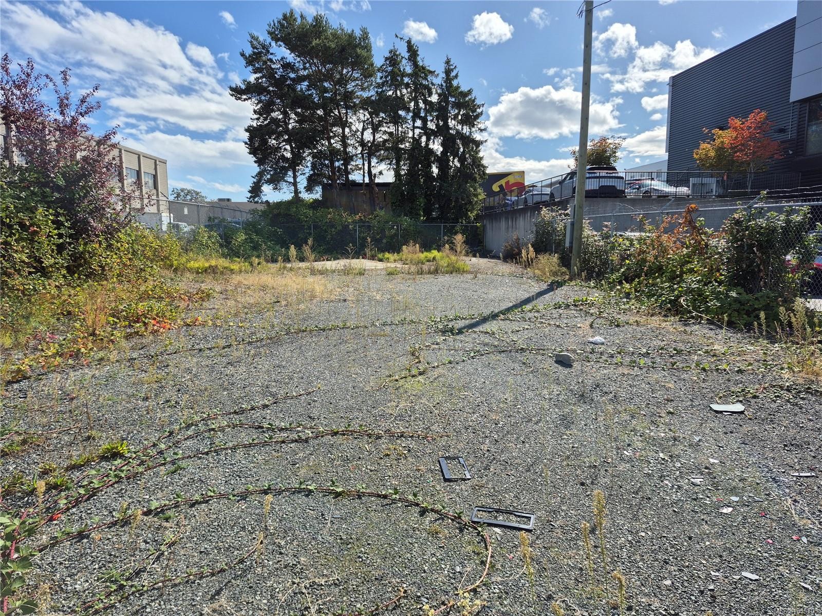 767 Audley St, Saanich, BC