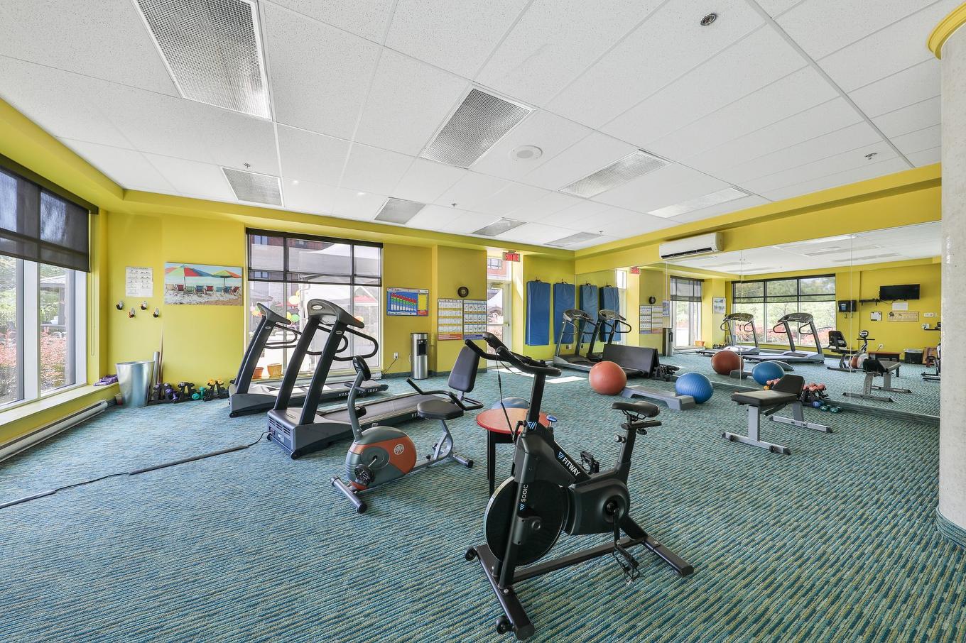 Salle d'exercice - 704-25 Prom. Des Îles, Laval (Chomedey), QC - Indoor Photo Showing Gym Room