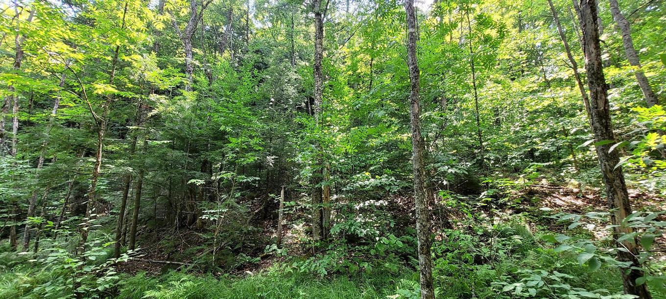 Vue d'ensemble - 52 Ch. Lacombe, Val-Des-Monts, QC