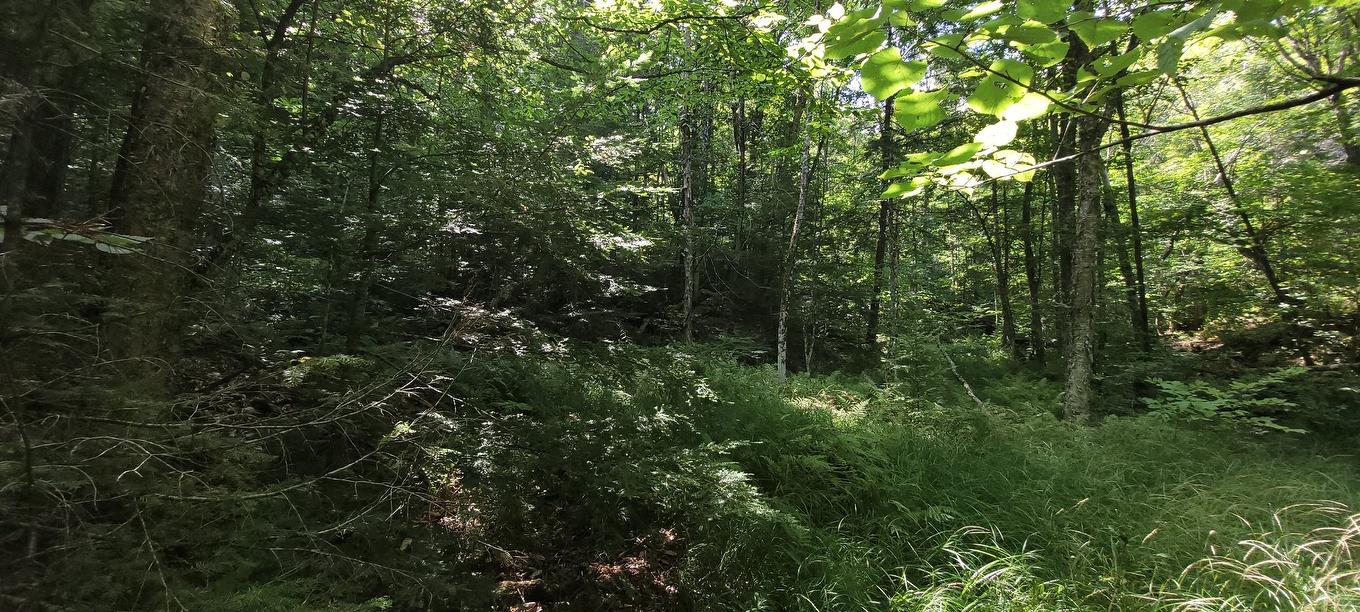 Vue d'ensemble - 52 Ch. Lacombe, Val-Des-Monts, QC