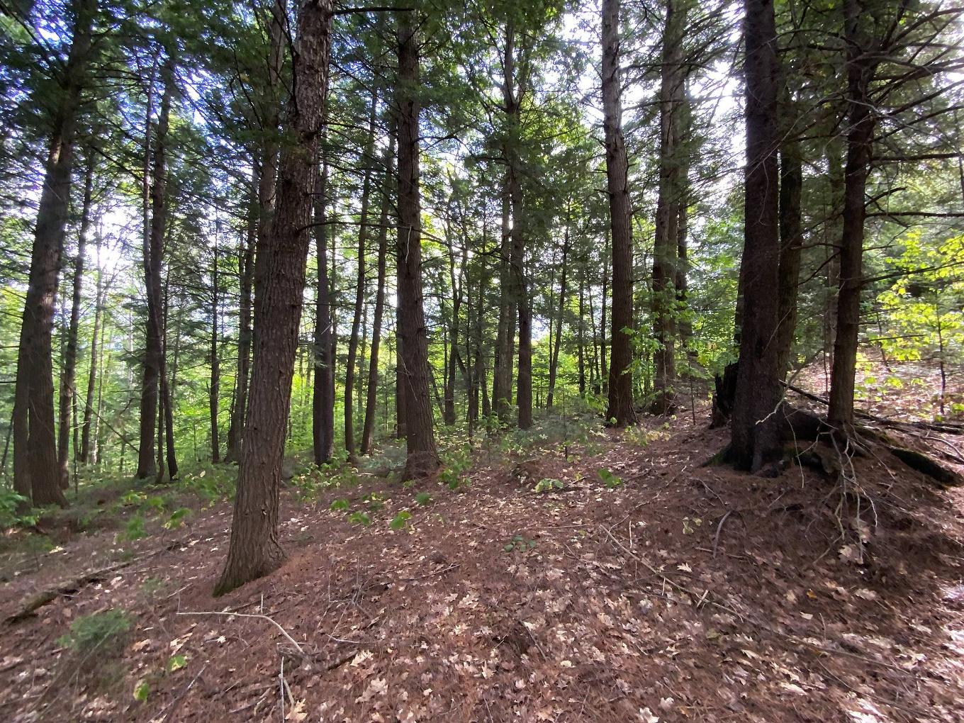 Terre/Terrain - 131 Mtée Rochon, Ripon, QC