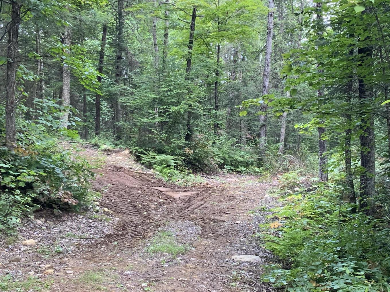 Terre/Terrain - 131 Mtée Rochon, Ripon, QC