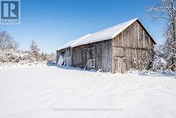 Image is virtually winterized -