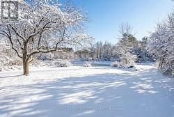 Image is virtually winterized -