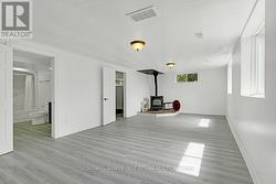 Lower level family room with pellet stove -