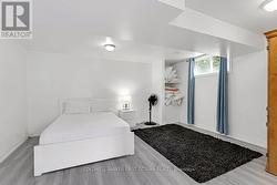 Lower level bedroom -