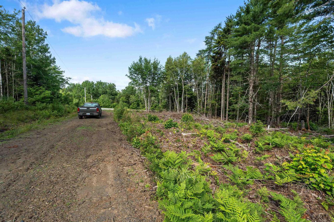 8860 Moose River Road, Lindsay Lake, NS