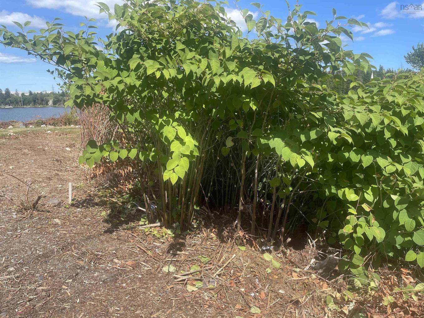 1203 St Margaret'S Bay Road, Timberlea, NS