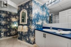 lower level full bathroom -