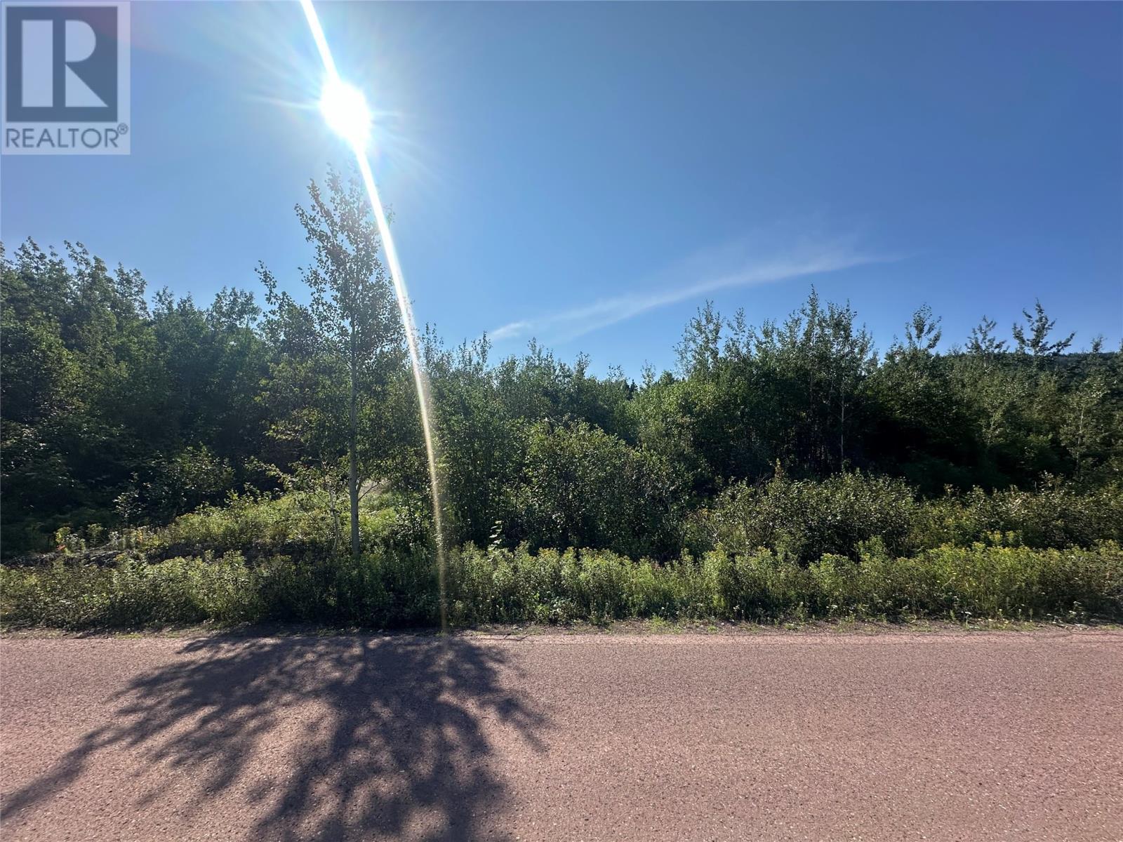 11 Park Drive, Point Leamington, NL