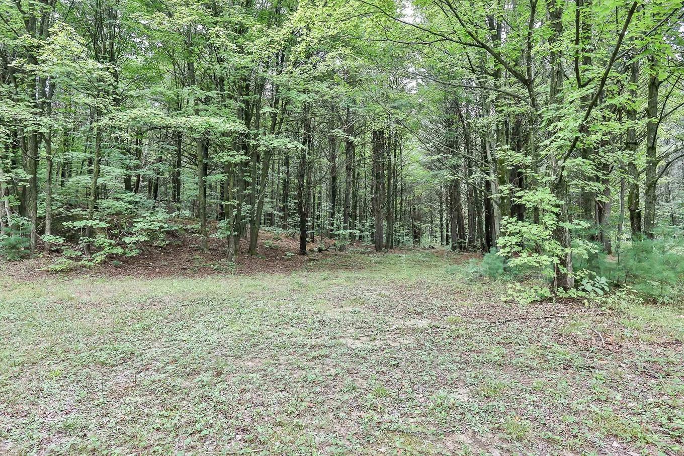 Boisé - 2060 Côte St-Victor, Papineauville, QC