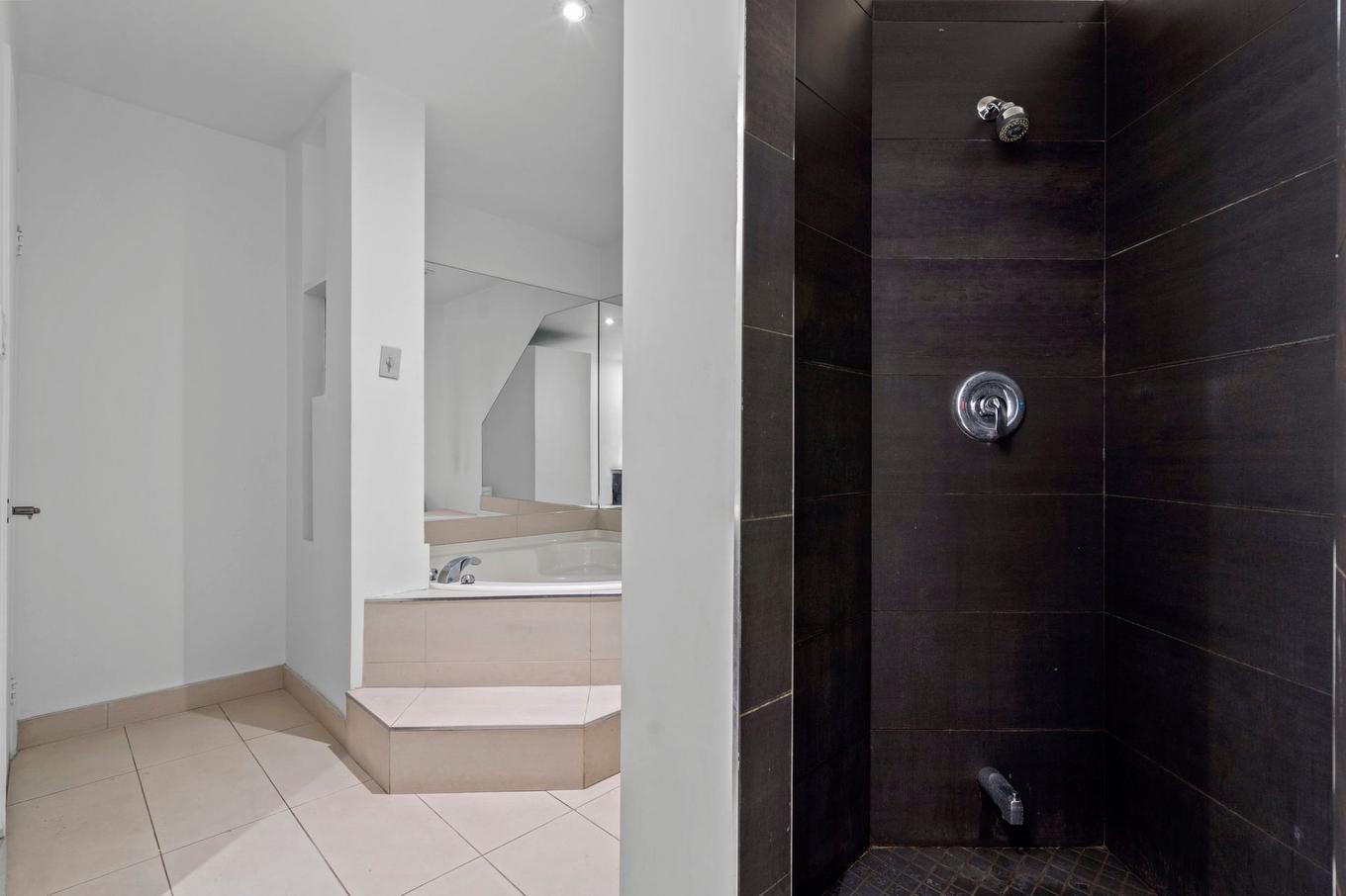 Bathroom - 17-285 Place D'Youville, Montréal (Ville-Marie), QC - Indoor Photo Showing Bathroom