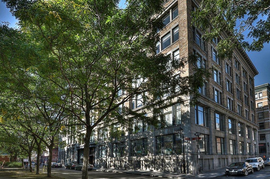 Frontage - 17-285 Place D'Youville, Montréal (Ville-Marie), QC - Outdoor